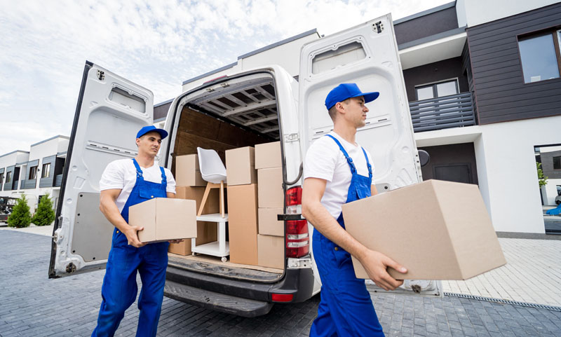 Déménageur professionnel, Basse-Terre